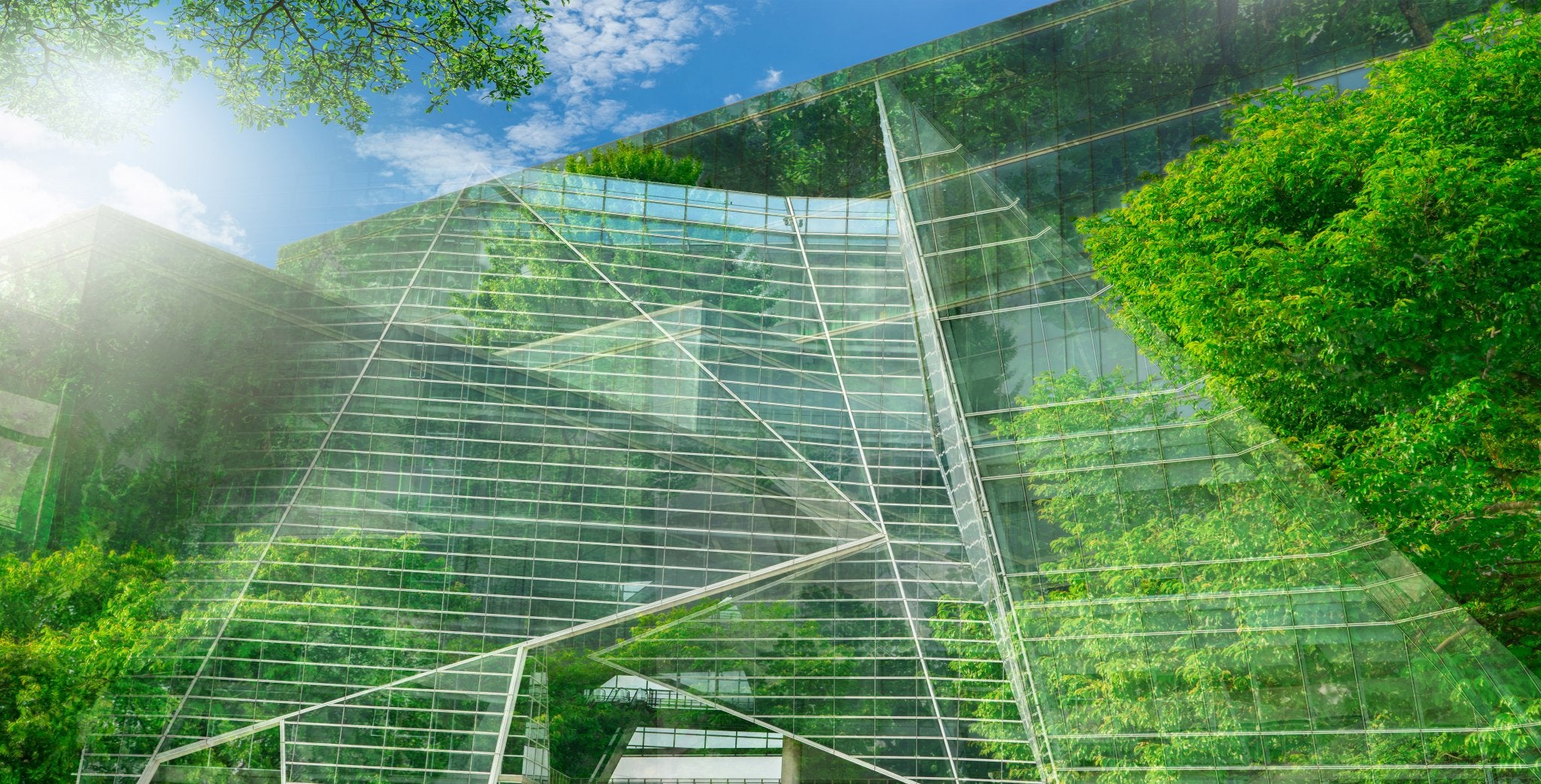 tall glass building with lots of greenery